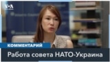 В канцелярии генсека НАТО видят «реальный мост» к членству Украины в НАТО 