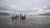 资料图片：喀麦隆林贝海滩，当地渔民在船上准备渔网。（2022年4月12日）
