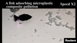 A fish-shaped robot, which researchers say can suck up microplastics in shallow water, moves under the direction of a near-infrared (NIR) light, in this screen grab taken from a handout video provided to Reuters July 12, 2022. (Sichuan University/Handout