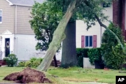 This Aug. 4, 2020, photo provided by James Burke shows damage to a Garden City, N.Y., home caused by an uprooted tree during Tropical Storm Isias. (James Burke via AP)