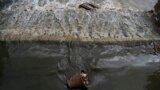 Sacred Rivers-Nepal-Bagmati