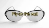 Anglais Express : Fly on the wall