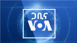 ማክሰኞ፡-ጋቢና VOA