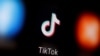 报告：TikTok搜寻引擎故意引导用户阅看虚假信息