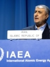 Mohammad Eslami, the head of Iran's Atomic Energy Organization, speaks during a media briefing on the new nuclear energy projections, at IAEA's General Conference in Vienna, Austria, Sept. 16, 2024.