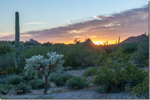 desert sunset Darby Well Rd BLM Ajo AZ