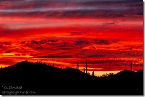 desert sunset Alley Rd BLM Ajo AZ