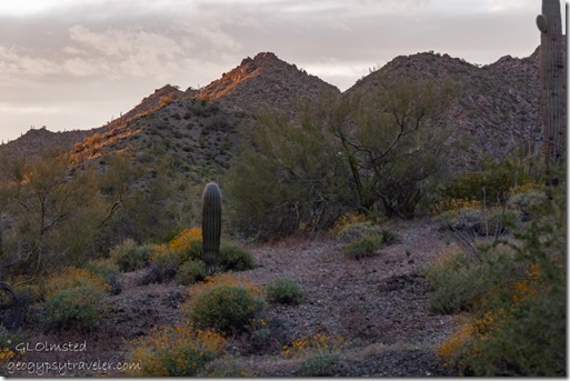 desert last light Alley Rd BLM Ajo AZ