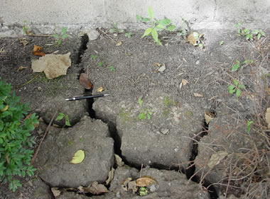 cracks in expansive soil