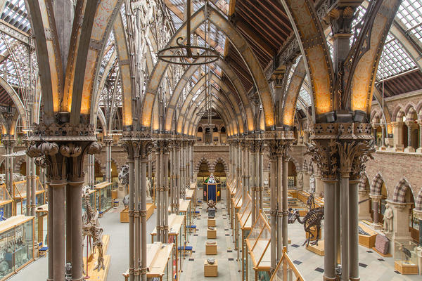 Museum of Natural History gallery from above