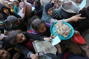 Food is distributed to desperate Palestinians.