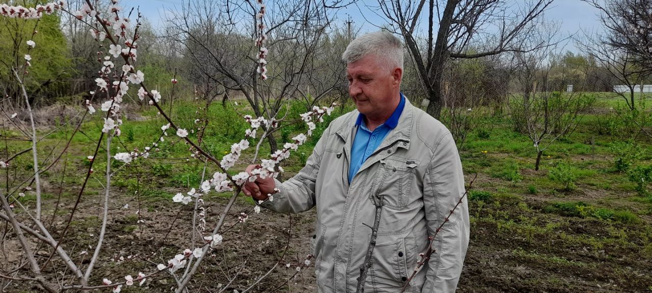 Памятка начинающему садоводу