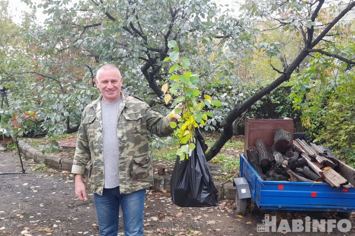 Выбираем дальневосточные саженцы