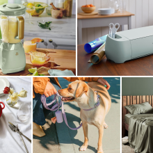 Sage green frozen drink maker, blue craft machine, red heart-shaped cast iron dish, dog wearing purple collar and person holding leash, bed with green bed sheets