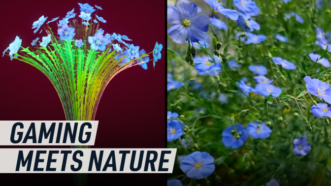 A split screen juxtaposes a virtual flax flower from Guild Wars 2, with real-life flax flowers in a meadow. Caption reads "Gaming meets nature"