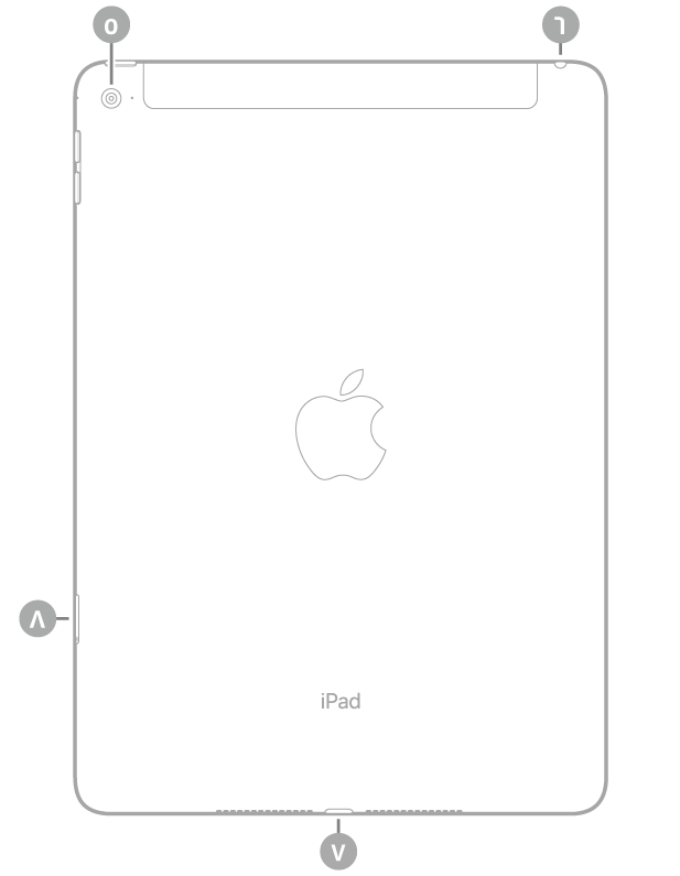 عرض للجزء الخلفي من الـ iPad Air 2 مع وسائل شرح من أعلى اليسار في اتجاه عقارب الساعة: الكاميرا الخلفية ومقبس سماعة الرأس وموصل Lightning وحامل SIM (‏Wi-Fi + Cellular).