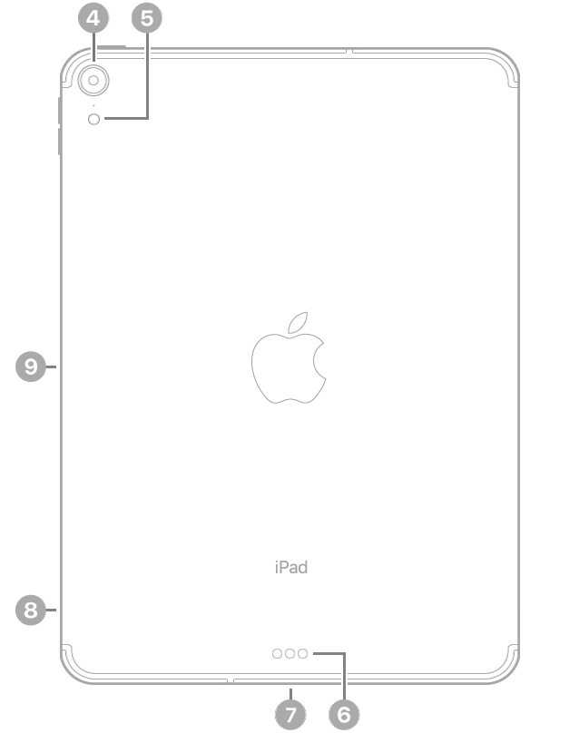 iPad Pro 的背面视图，从左上方顺时针方向的标注依次为：后置摄像头、闪光灯、智能接点、USB-C 接口、SIM 卡托架（无线局域网 + 蜂窝网络机型）以及用于 Apple Pencil 的磁性接口。