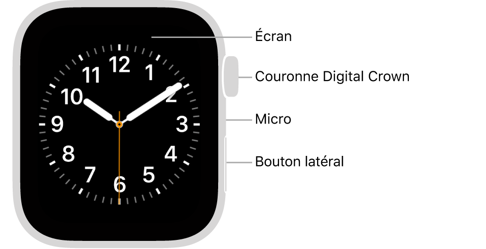 L’avant de l’Apple Watch Series 6, avec l’écran affichant le cadran, et sur le côté de la montre, de haut en bas, la Digital Crown, le micro et le bouton latéral.