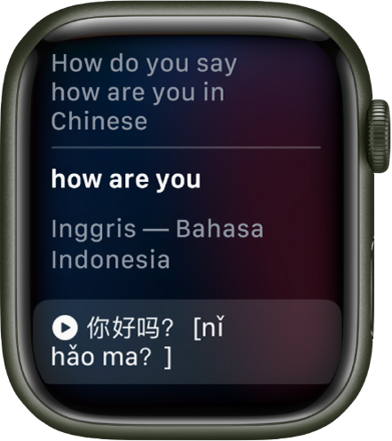 Layar Siri menampilkan kata “How do you say how are you in Chinese”. Terjemahan bahasa Inggris berada di bawah.