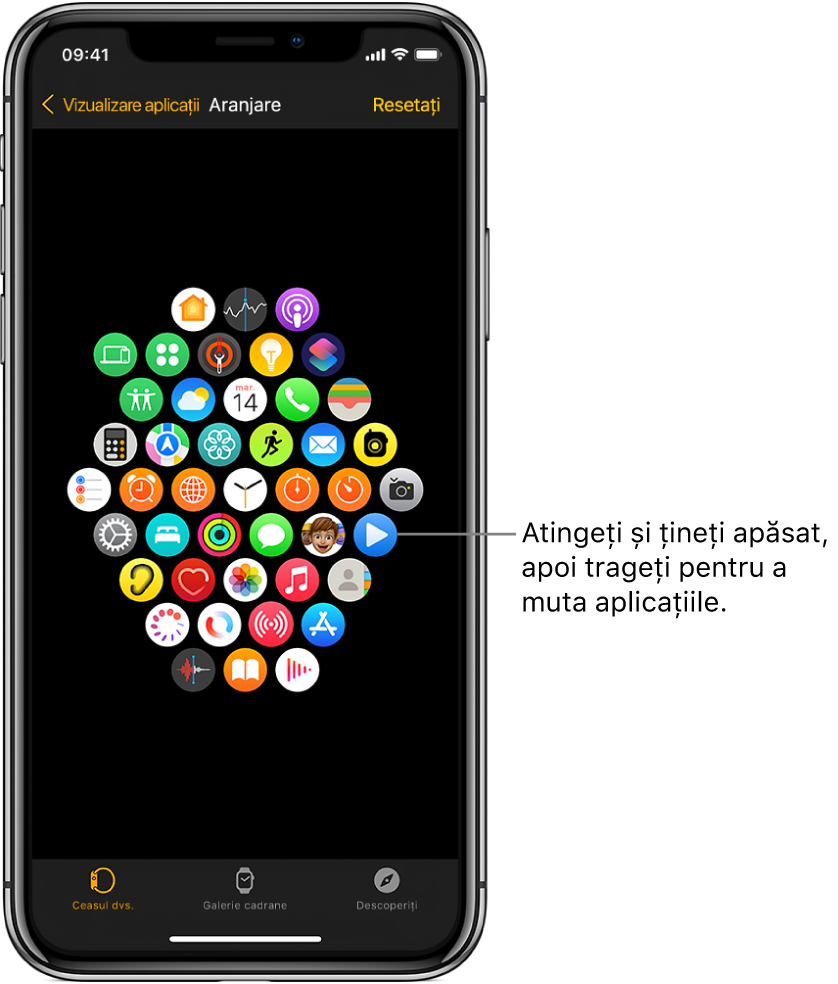 Ecranul Aranjare în aplicația Apple Watch, afișând o grilă de pictograme.