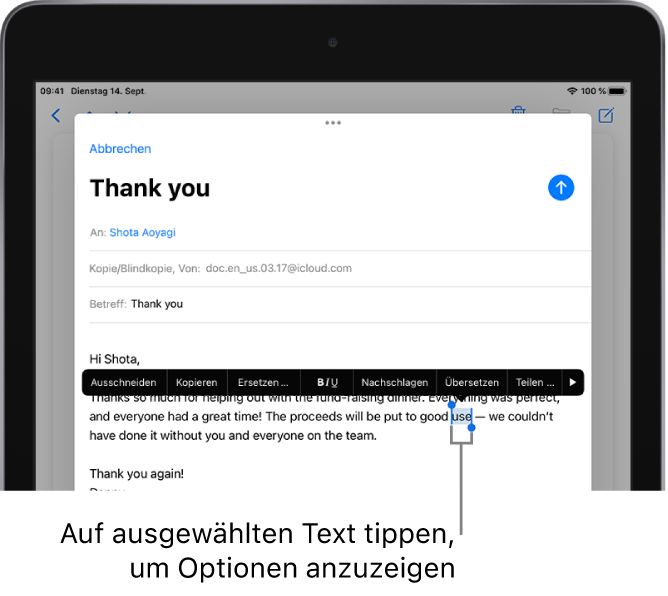 Beispiel einer E-Mail-Nachricht mit ausgewähltem Text. Über der Auswahl befinden sich die Tasten „Ausschneiden“, „Kopieren“, „Einsetzen“ und „Ersetzen“ und weitere Befehle. Der ausgewählte Text ist hervorgehoben und an beiden Seiten befinden sich Aktivpunkte.