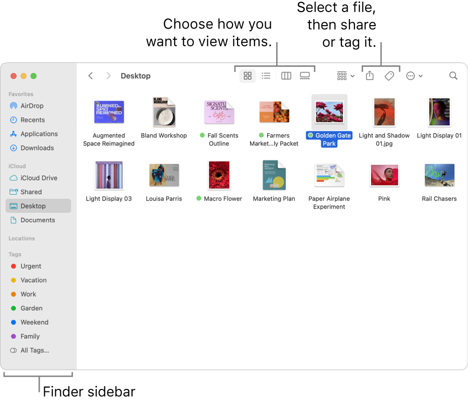 A Finder window with the Finder sidebar on the left. At the top of the window are four buttons that change the way items are shown in the window, and additional buttons for organizing and sharing items.