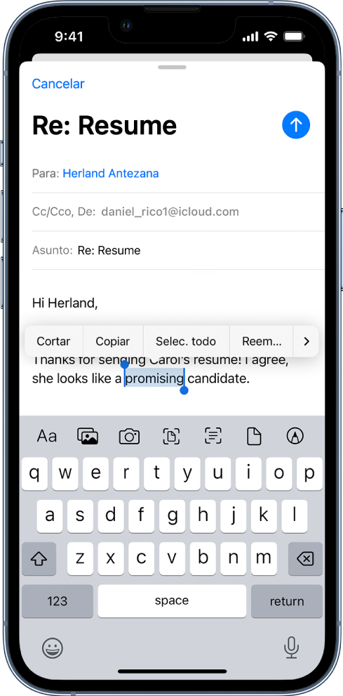 Mensaje de correo electrónico de ejemplo con parte del texto seleccionado. Encima de la selección están los botones Cortar, Copiar, Pegar y Reemplazar. El texto seleccionado está resaltado y tiene manijas en ambos extremos.