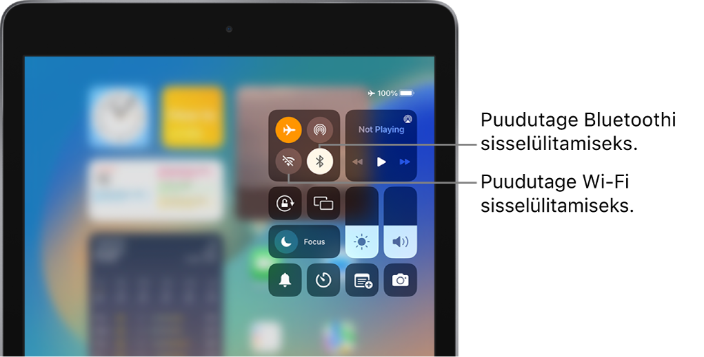 Control Center, kus on lennukirežiim lülitatud sisse. Control Centeri ülemises vasakus nurgas kuvatakse nupud Wi-Fi ja Bluetoothi sisselülitamiseks.
