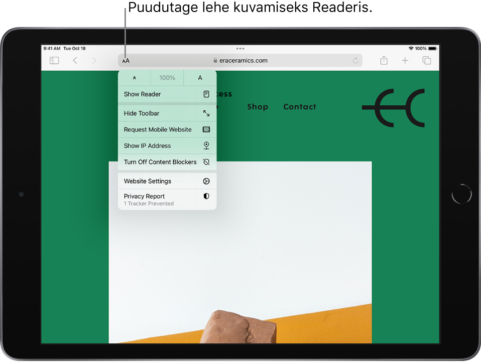 Avatud veebileht. Otsinguvälja vasakul küljel on valitud nupp Page Settings ning kuvatakse fondi suuruse juhtnuppe ning selle järel on valik Show Reader.