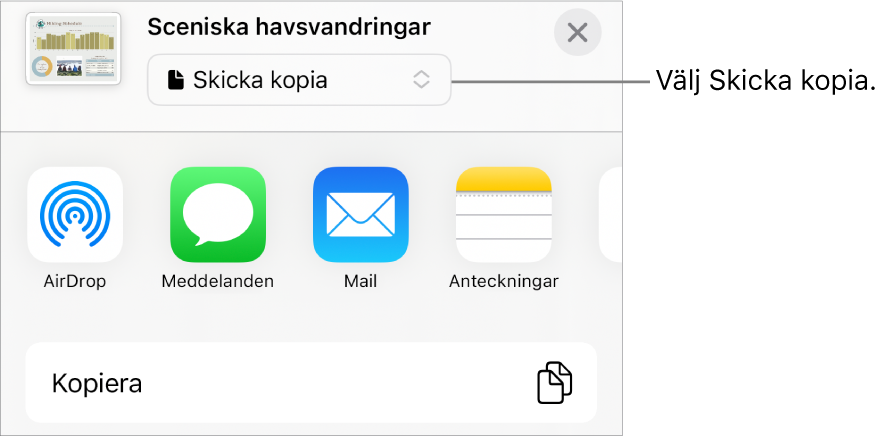 Delningsmenyn med Skicka kopia markerat högst upp.