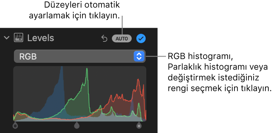 Sağ üstte Otomatik düğmesini ve altta RGB histogramını gösteren Ayarla bölümündeki Düzeyler denetimleri.