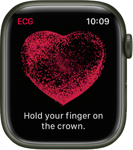 The ECG app showing an image of a heart with the words “Hold your finger on the crown.”