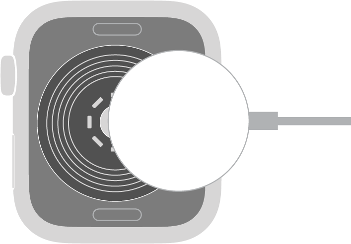 A extremidade côncava do cabo magnético de carga do Apple Watch encaixa-se magneticamente na parte de trás do Apple Watch.