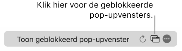 Het slimme zoekveld met een symbool om het aantal geblokkeerde pop-upvensters te tonen.