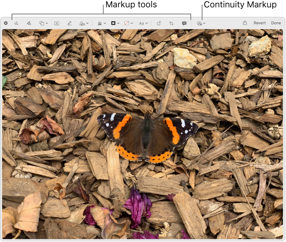 An image in the Markup window showing the toolbar of Markup tools and the tool to click to use Continuity Markup on a nearby iPhone or iPad.