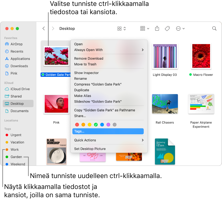 Finder-ikkuna, joka sisältää tunnisteilla merkittyjä tiedostoja ja kansioita, ja kansio on valittuna. Pikakomentovalikossa on värivaihtoehtoja tunnisteille, ja Tunnisteet on korostettuna.