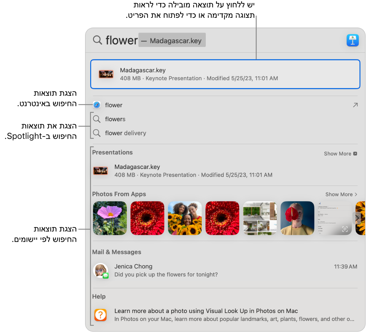 חלון Spotlight שבו מוצג מלל חיפוש בשדה החיפוש בחלק העליון של החלון ותוצאות למטה.
