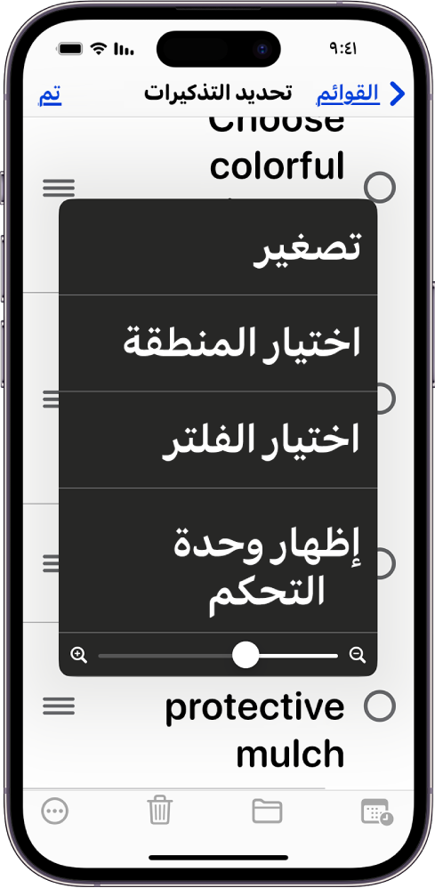 iPhone يعرض قائمة التكبير/التصغير.