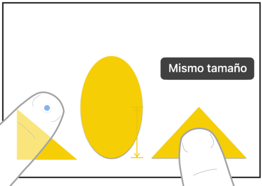 Dos dedos de dos manos seleccionando y haciendo coincidir los tamaños de dos elementos en Freeform.