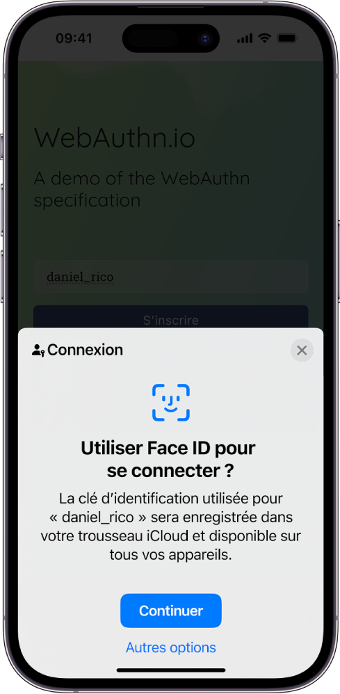 Un écran de connexion qui apparaît lorsqu’une clé d’identification est enregistrée pour le compte. Les onglets Continuer et « Autres options » se trouvent en bas de l’écran.