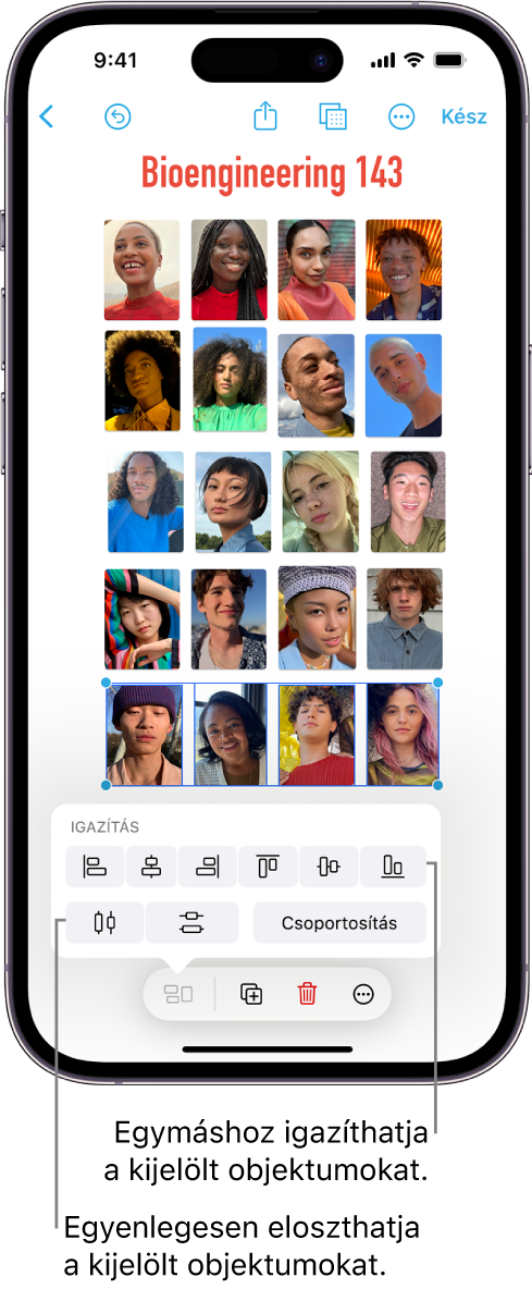 Freeform-tábla, amely egy fotókból álló ráccsal van kitöltve. Több fotó látható kiválasztva, és az igazítási, illetve csoportosítási eszközök jelennek meg felettük.