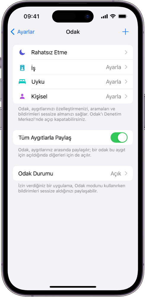 Sağlanan dört Odak seçeneğini (Rahatsız Etme, Kişisel, Uyku ve İş) gösteren bir ekran. Tüm Aygıtlarla Paylaş düğmesi, aynı Apple kimliğiyle giriş yaptığınız Apple aygıtlarınızın tümünde aynı Odak ayarlarını kullanmanızı sağlar.