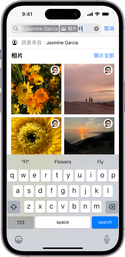 「訊息」App 中的搜尋欄位。搜尋欄位包括一個標籤，將搜尋限制在由一個聯絡人傳送的相片。