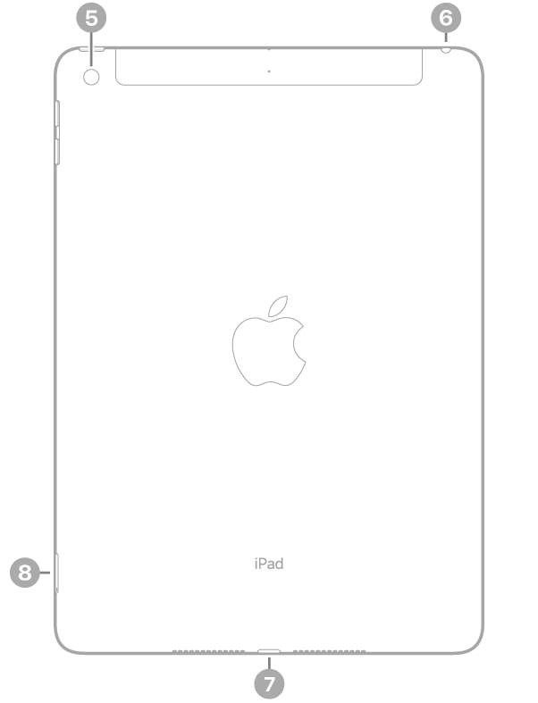 Vista posteriore di iPad con didascalie relative alla fotocamera posteriore in alto a destra, il jack per le cuffie in alto a destra, il connettore Lightning in basso, al centro, e il vano della SIM (Wi-Fi + Cellular), in basso a sinistra.