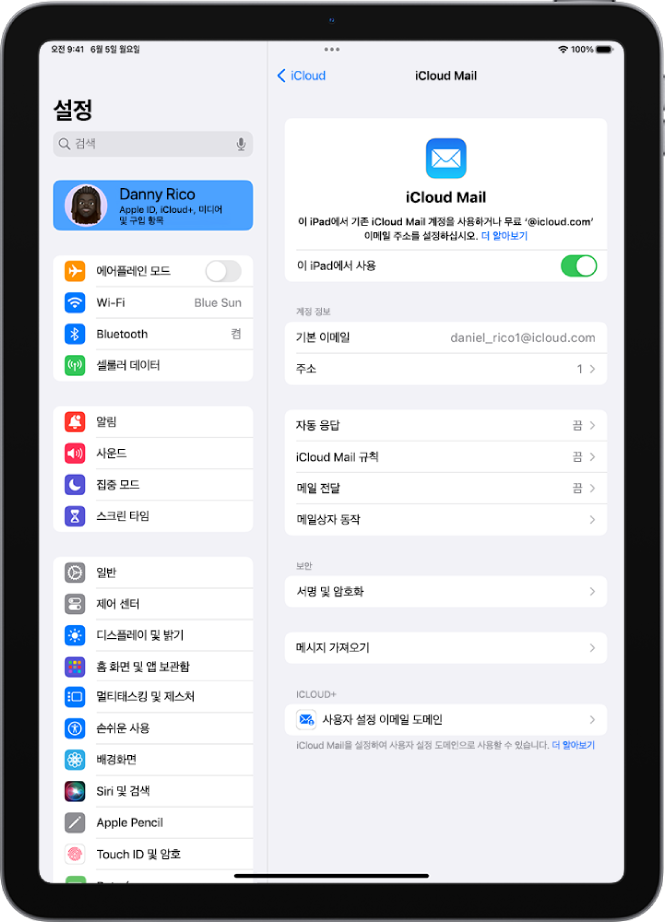 iCloud Mail 화면이 열려 있는 설정 앱. 메뉴 하단에 사용자 설정 이메일 도메인이 있음.