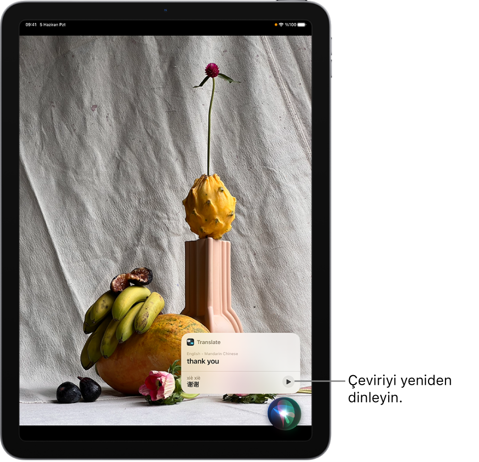 Siri, İngilizce “thank you” ifadesinin Mandarin çevirisini görüntülüyor. Çevirinin sağ tarafındaki bir düğme çeviriyi yeniden seslendirir.