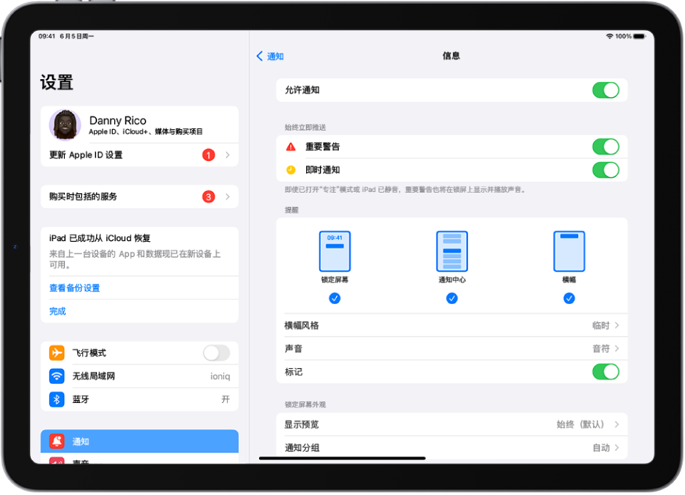 iPad 显示针对通知和提醒的“信息”设置。