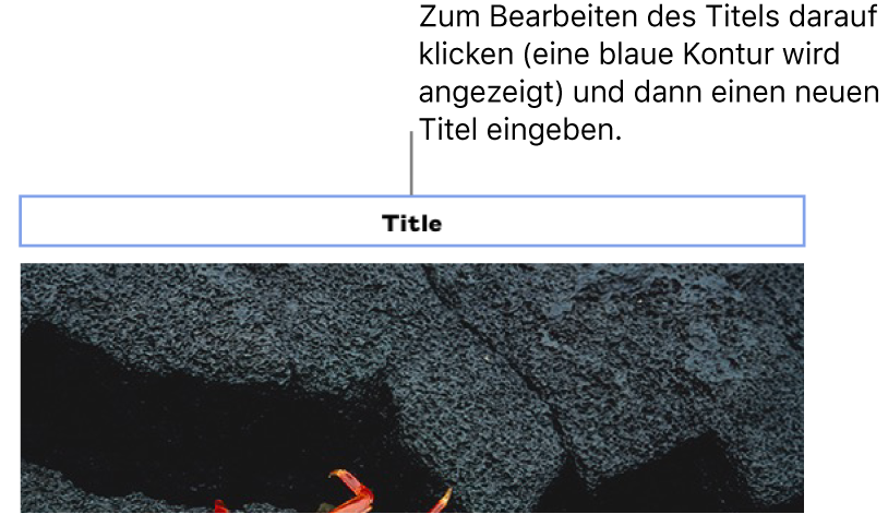 Der Platzhaltertitel „Titel“ erscheint über einem Foto. Eine blaue Kontur um das Titelfeld herum zeigt an, dass es ausgewählt wurde.