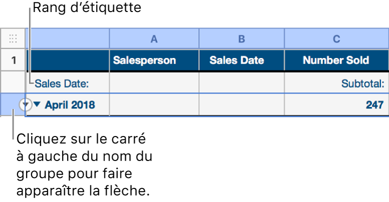 Le rang de résumés est sélectionné dans un tableau trié par catégories et une flèche vers le bas apparaît sur sa bordure. Le rang des étiquettes situé au-dessus du rang de résumés indique le nom de la catégorie au-dessus du nom du groupe, ainsi que le nom d’une fonction, le sous-total, dans la troisième colonne.