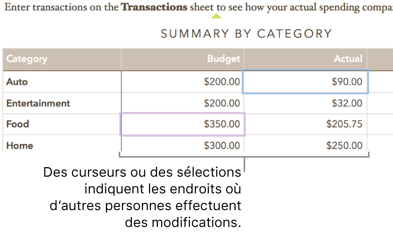 Curseurs et sélections de cellules du tableau dans des couleurs différentes indiquant les emplacements où les autres utilisateurs effectuent des modifications dans une feuille de calcul partagée.
